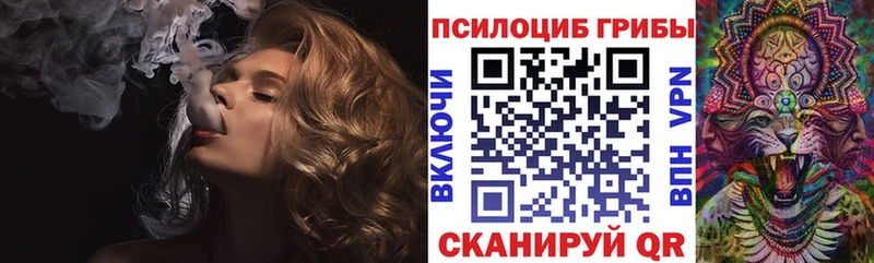 купить наркотики сайты Ялта kraken ССЫЛКА Псилоцибиновые грибы мицелий